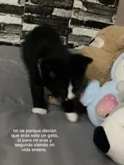 Te extraño mucho 