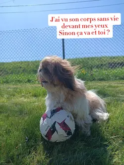 deuil difficile 