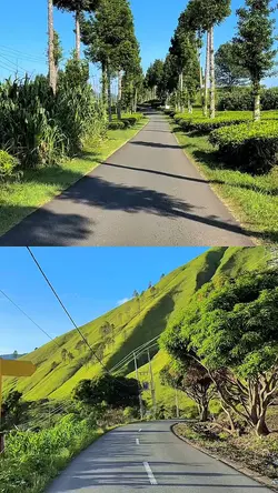 collage video