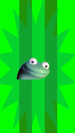 Lizard