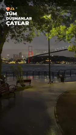 Yeni şablon 