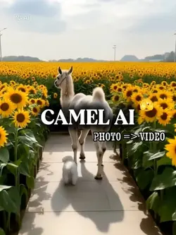 MY CAMEL AND MY PET
