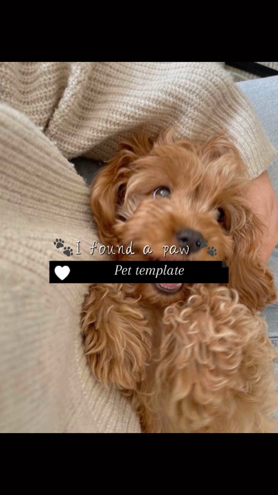 capcut template cover