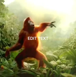 Monkey meme