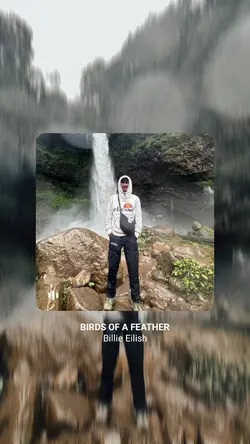 Birds Of A Feather