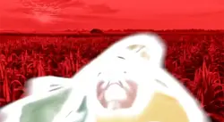 Corn man 