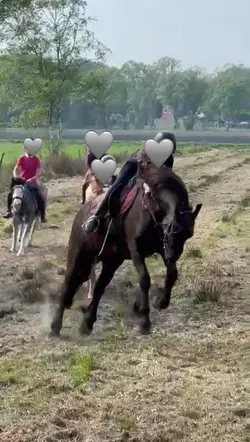 horse riding fail