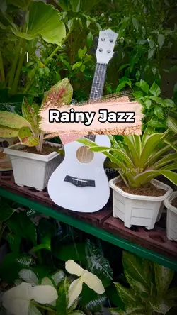 Rainy Jazz