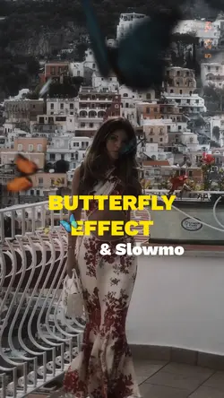 Butterfly Effect🦋