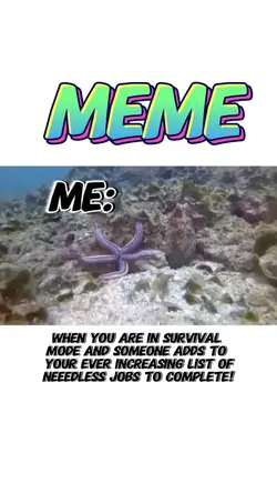 OCTOPUS PUNCH MEME  