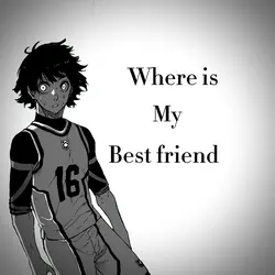 Where is