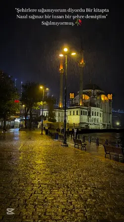 şablon