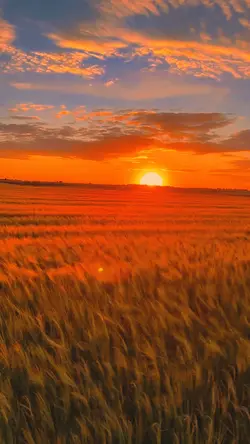 sunset filter