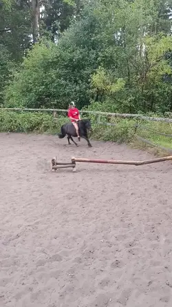 10/10