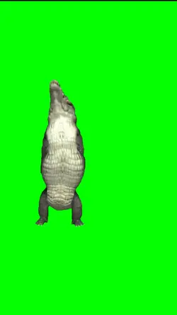 crocodile danc meme