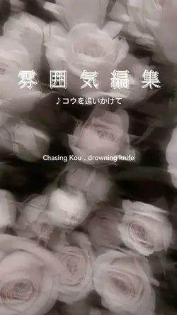 コウを追いかけて/雰囲気編集