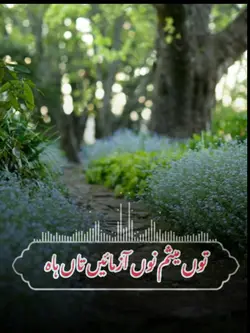 پنجابی شاعری 