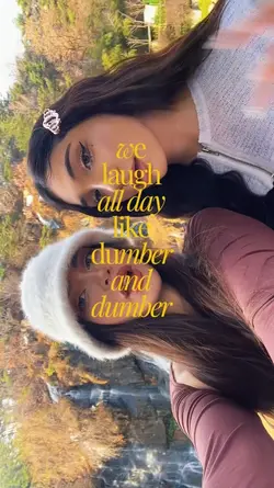 like dimber