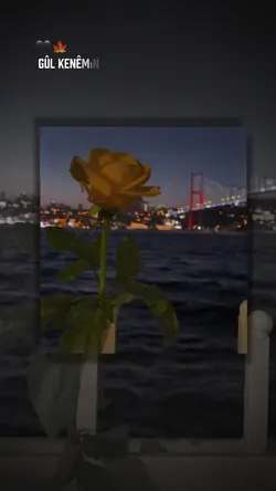 Akım yapalım dostlar