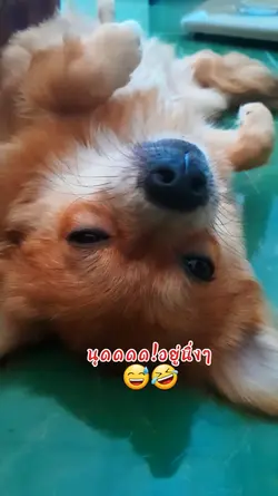 นุดด!?อยู่นิ่งๆ