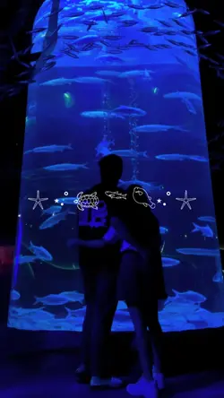aquarium vlog