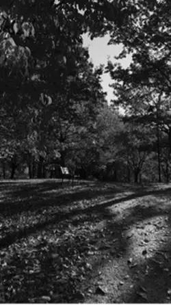 Autumn is here
