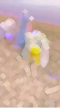 Diamond zoom Sharp 