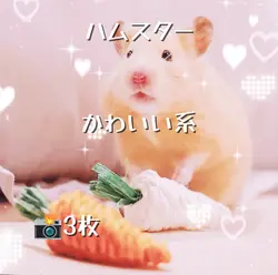 ハムスター！