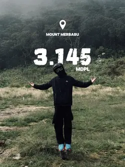 mount trend 2025