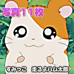 とっとこハム太郎
