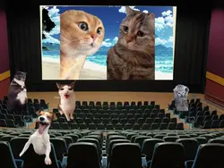 映画の画面に入れてね