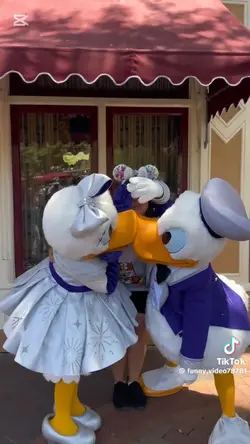 Funny Disneyland 