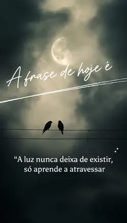 frase de hoje 