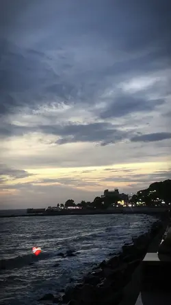 1 ảnh + màu