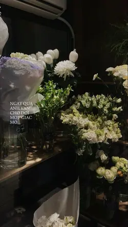 Lyric ~ màu 