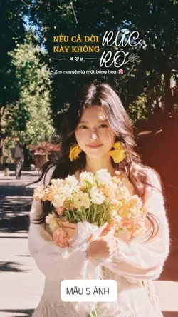Mẫu 5 ảnh 