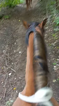 My sweet boy