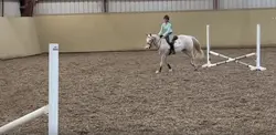 🔜 new horse