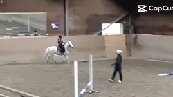 ridning Flamingo 