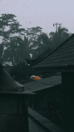 Rainy Vibes 🌧️