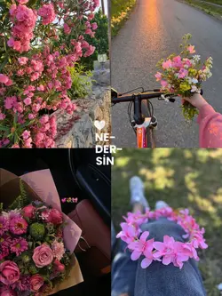 4'lü fotoğraf şablon