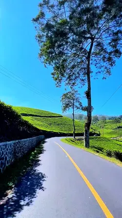 6 video HD travel