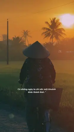 Có những ngày ta chi