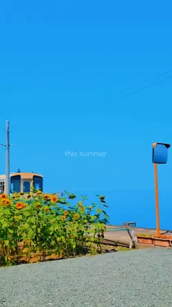 Summer in JapanVibes