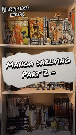 Manga shelving 2