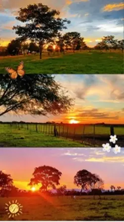 NATUREZA COLAGEM 