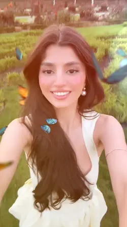 butterflies