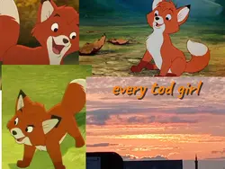 the fox & the hound