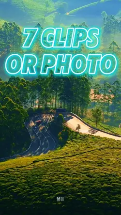 7 clips or photo 