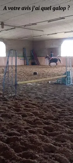 j'ai quel galop ?